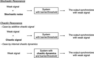 Synchronization of Chaos in Neural Systems